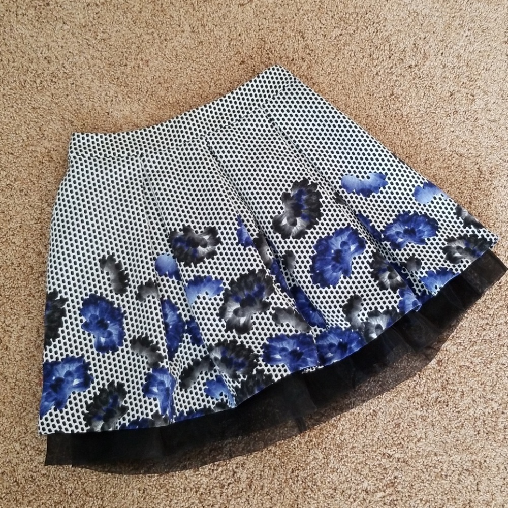 Express skirt